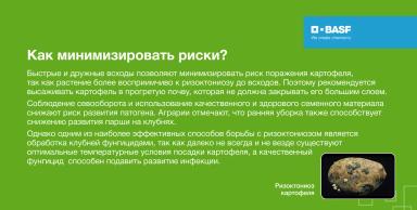 СЕРКАДИС®: боремся с ризоктониозом картофеля
