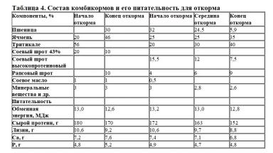 Низкие потери и высокая продуктивность в свиноводстве – сочетаемы