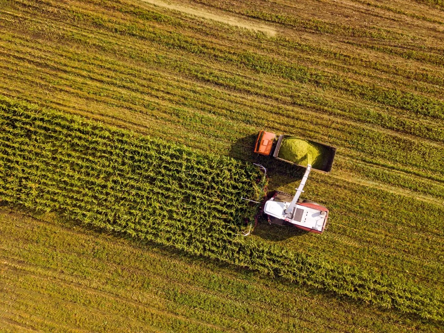 Какое количество кормоуборочных комбайнов оптимально для хозяйства?
