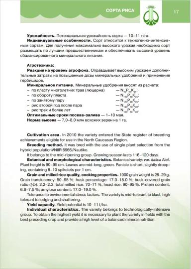 Виктория сорт риса