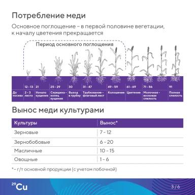 «Элементарно об элементах!»: медь