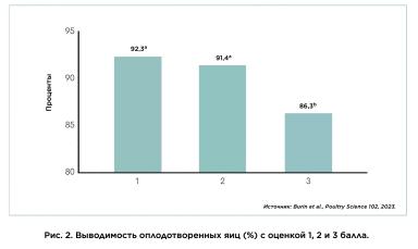 Оценка качества скорлупы на птицеферме: переход качества яиц в количество цыплят