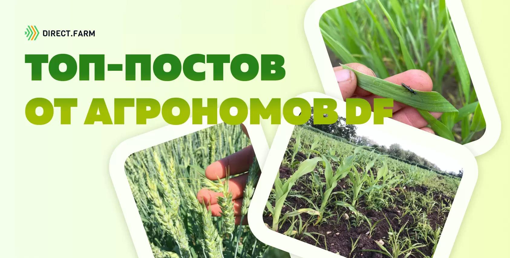 Топ-постов по растениеводству за май 2023