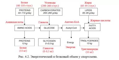 Каннас – Кормление молочных коз. Гл. 4. Белки козьего молока