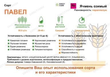 Павел