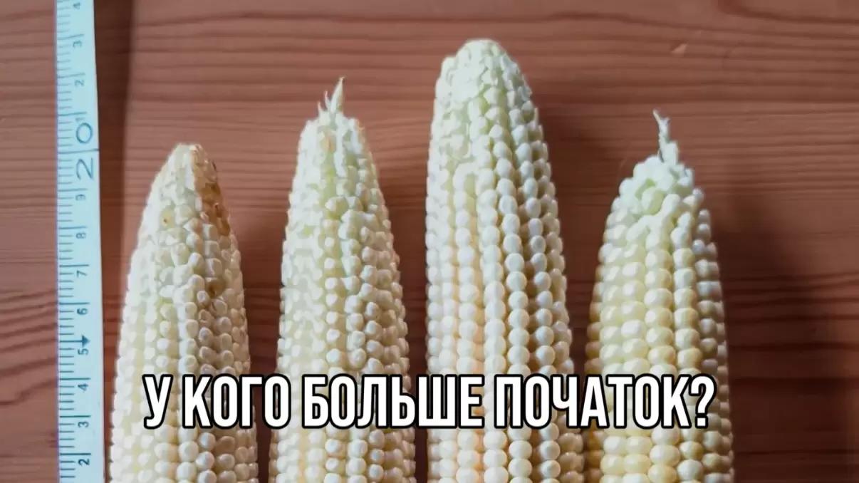 У КОГО БОЛЬШЕ ПОЧАТОК