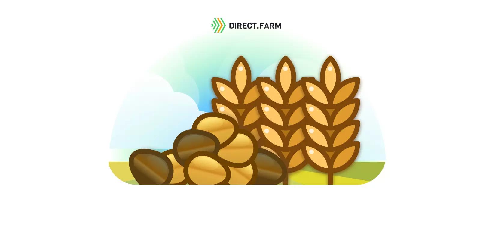 Посев семян с черным зародышем