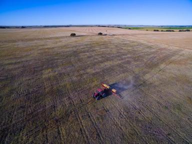 Как не потерять десятки миллионов рублей из-за ошибок сева: опыт Digital Agro