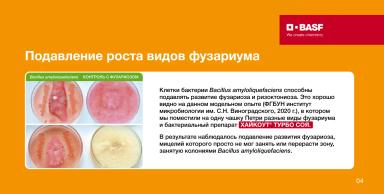 ХАЙКОУТ® ТУРБО СОЯ — турборежим питания и защиты сои