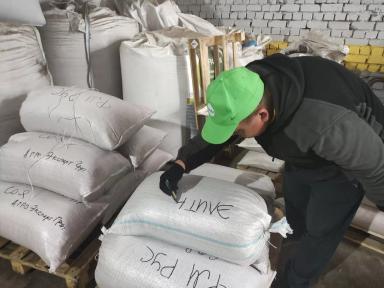 Предпосевная обработка семян сои на Агрополигоне «Приволжье».