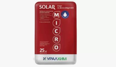 Готовь урожай с посева семян