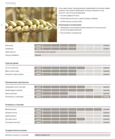 Торрилд сорт пшеницы мягкой озимой