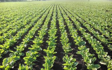 Агромониторинг 