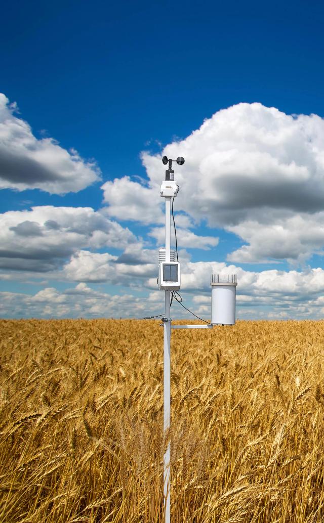 Инструментальный погодный мониторинг