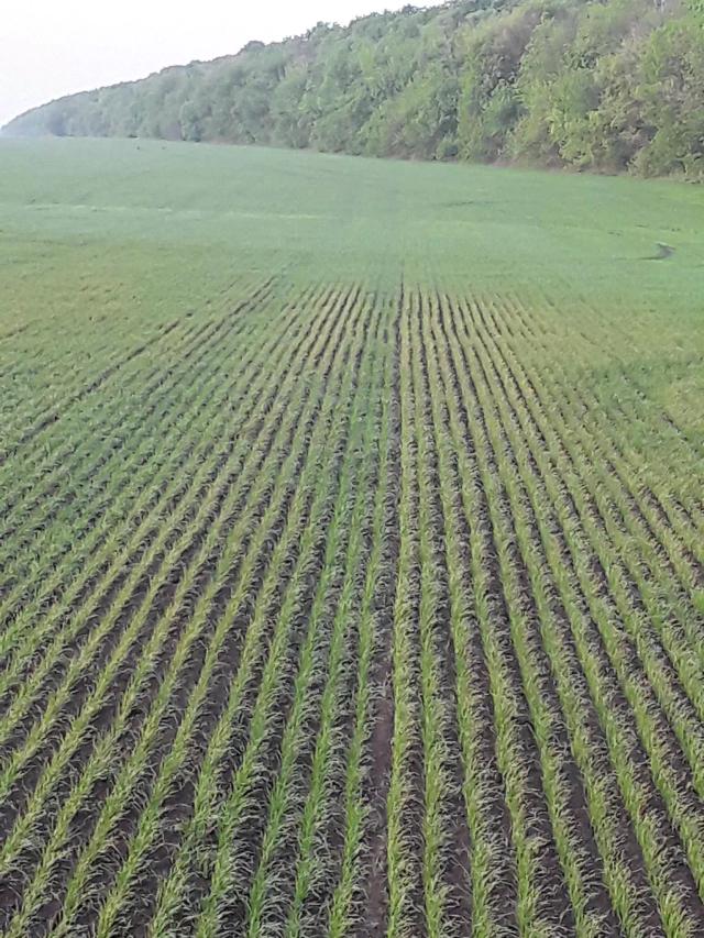 АГРОМОНИТОРИНГ.