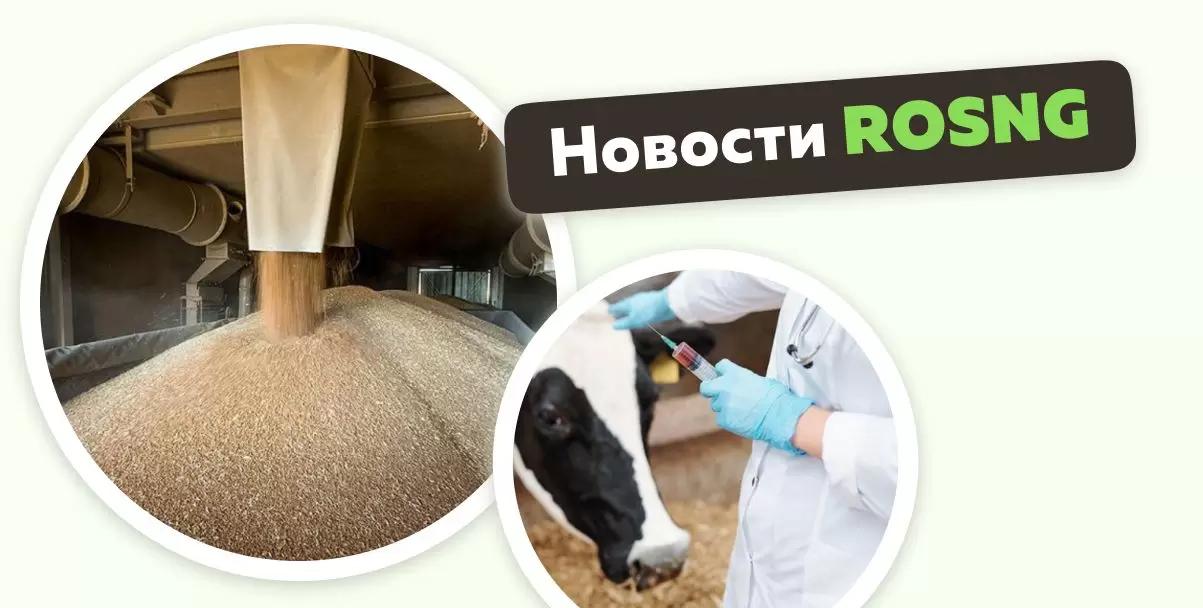 Обзор новостей за 16-17 декабря