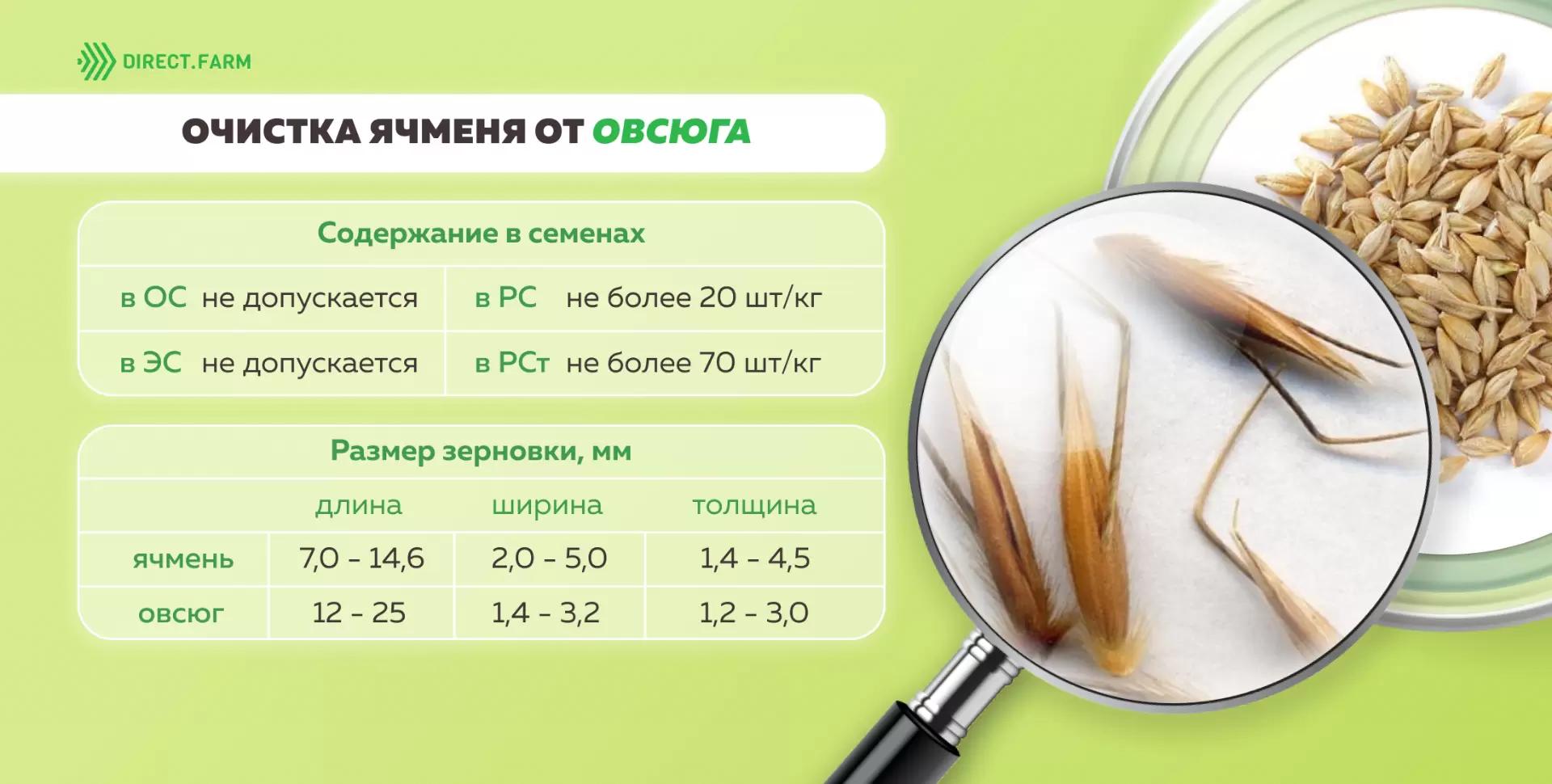 Очистка ячменя от овсюга