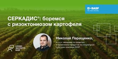 СЕРКАДИС®: боремся с ризоктониозом картофеля