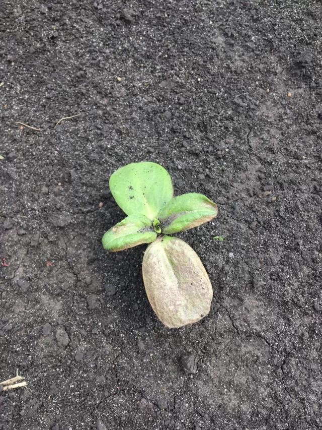 Нужен совет.