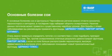 Европейская часть России — новый центр производства сои