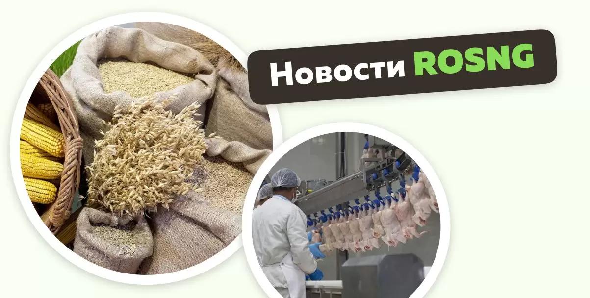 Обзор новостей за 24 ноября