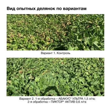 Доказано в поле