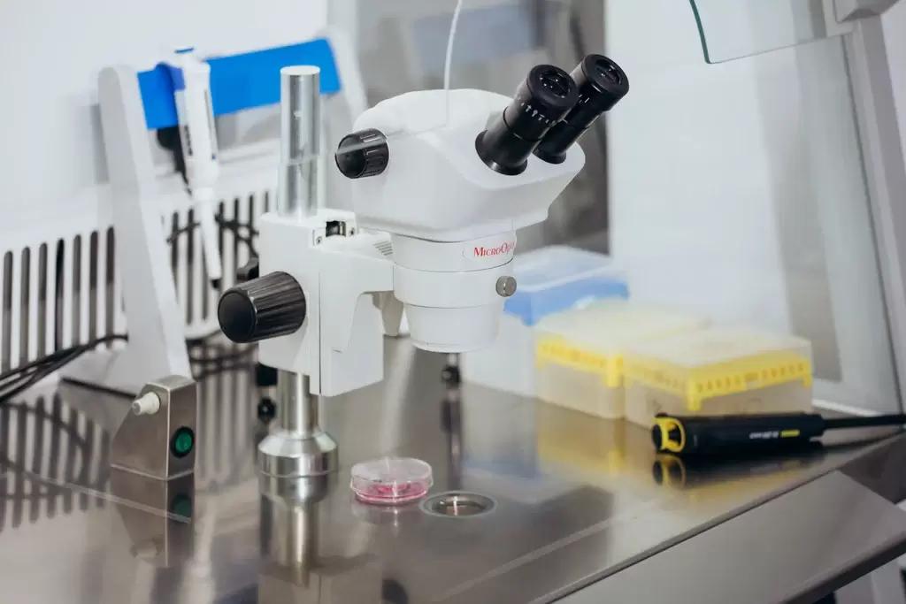 Получение эмбрионов in vitro, эмбриологические аспекты