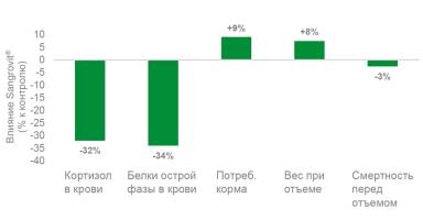 Поддержка свиноматок в транзитный период для оптимизации молочной продуктивности