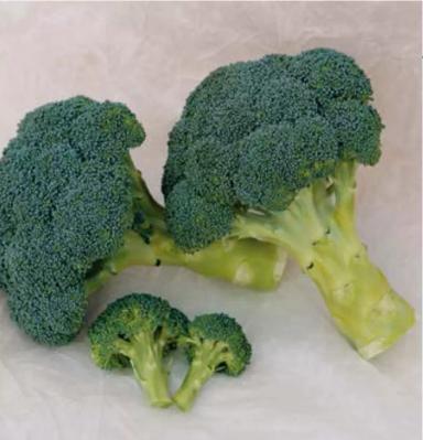 Хронос F1(CHRONOS)