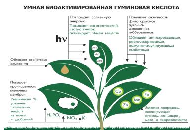 Самое крупное биотехнологическое предприятие России отмечает 33 года!