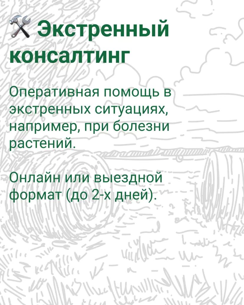 🌾 Где получить оперативную консультацию по агросопровождению?   Мы