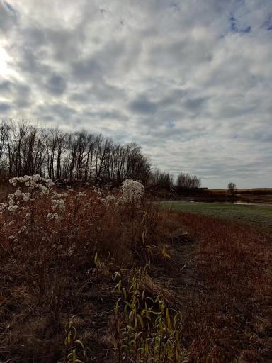 Экскурсии по сельским территориям