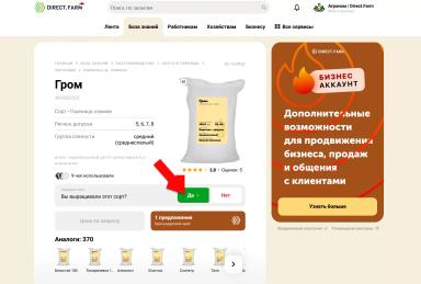 Топ сортов озимой пшеницы