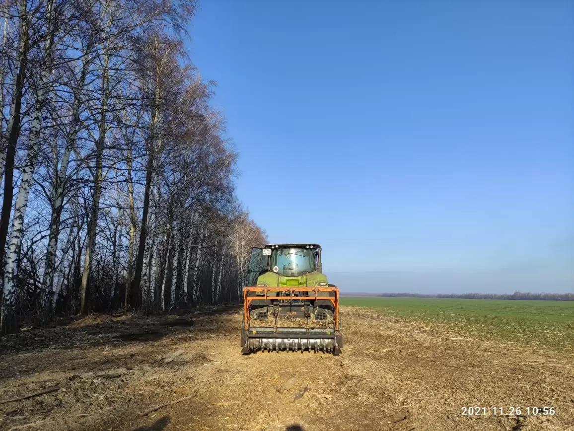 Забирают землю? Лесополосы атакуют пашню.