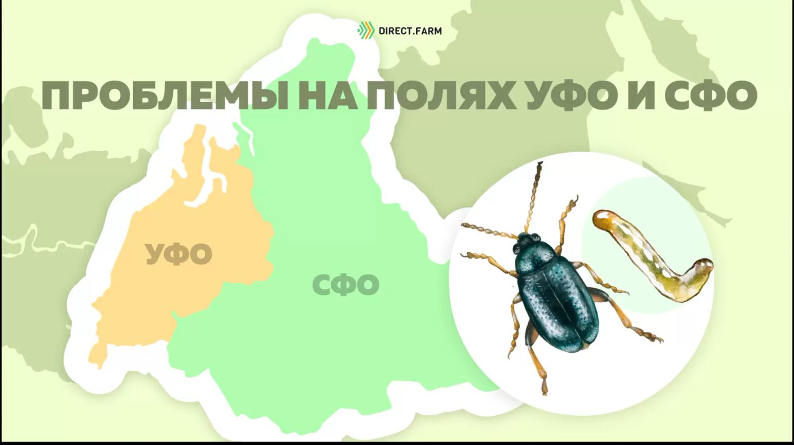 Угроза: Льняные блошки