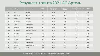 Результаты испытания гибридов кукурузы на площадке АртПолигон