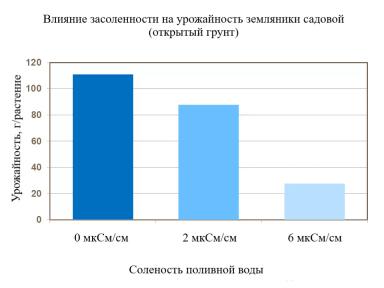 Почва/субстрат и вода для земляники садовой