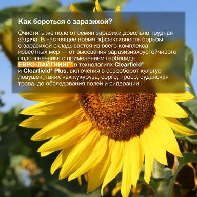 Экономические потери от заразили