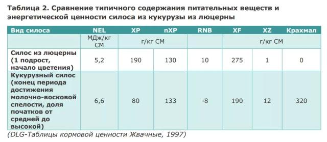 Питательная ценность люцерны и правила ее применения
