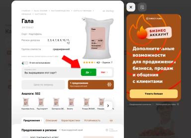 Топ сортов картофеля