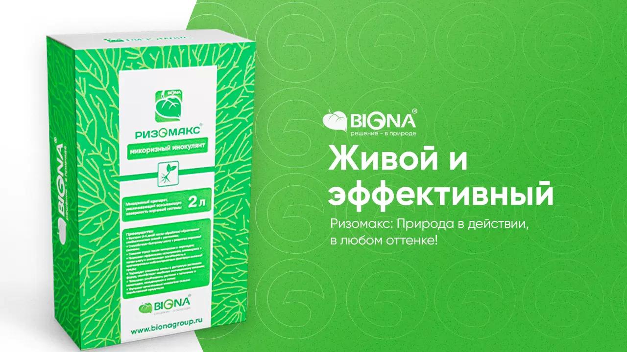 Ризомакс: Микоризный, живой и эффективный препарат