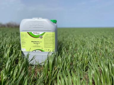 РАЦИОНАЛЬНЫЙ ПОДХОД К ВЫРАЩИВАНИЮ САХАРНОЙ СВЕКЛЫ