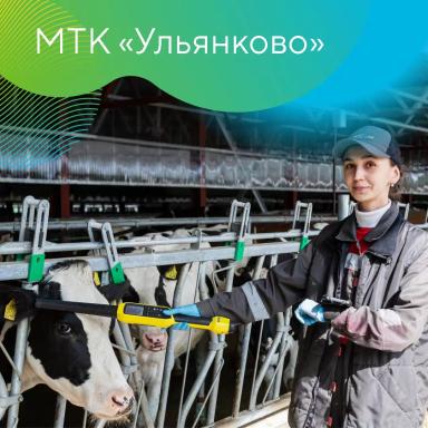 Итоги года «Августа»