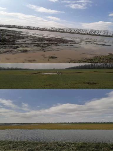 Залповые осадки, локальные засухи, град, пылевые бури - норма или аномалия?