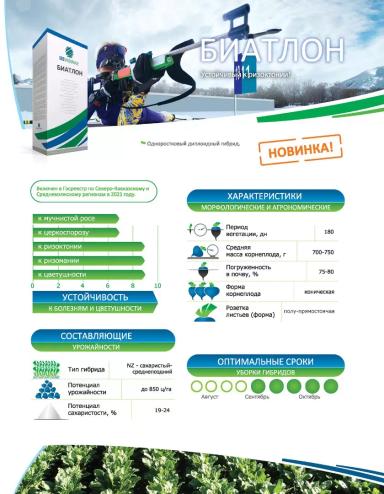 Биатлон (BIATHLON)