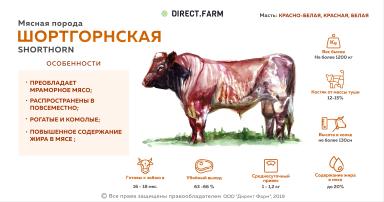 Шортгорнская порода коров