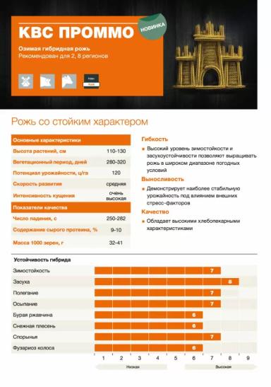 КВС Проммо (KWS PROMMO)