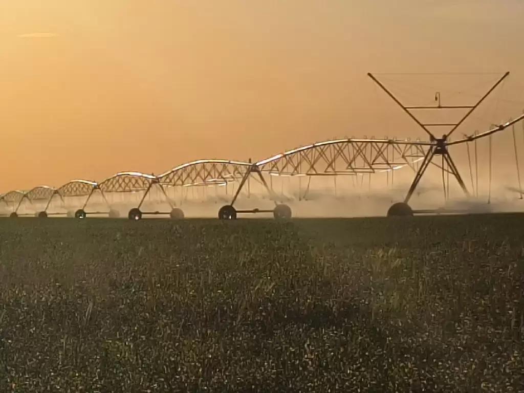 Какими дождевальными машинами пользуетесь?
