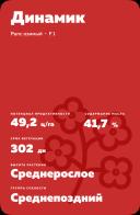 Динамик (DYNAMIC) рапс озимый