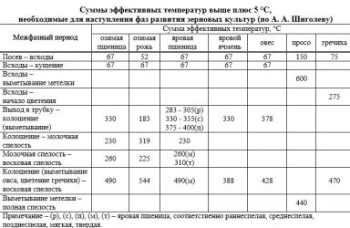 Определение фаз зерновых культур для пестицидных обработок